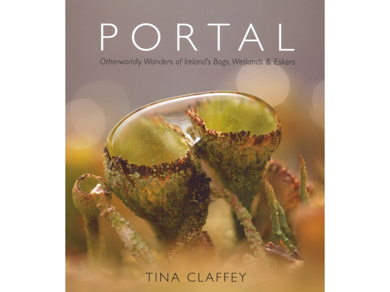 Portal - Tina Claffey