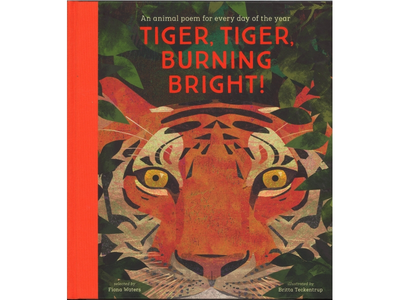 Tiger , Tiger , Burning Bright - Fiona Waters & Britta Teckentrup