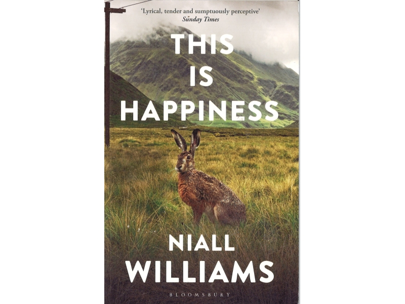 Niall Williams - This Is Happiness