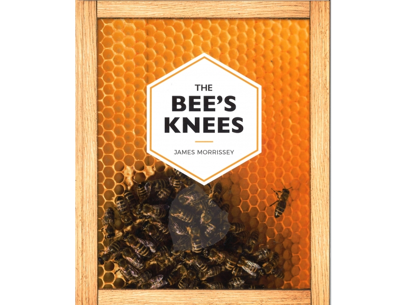James Morrissey - The Bee's Knees
