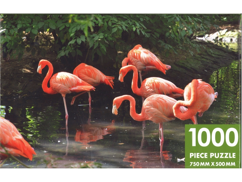 Flamboyance Of Flamingos - 1000 Piece Jigsaw