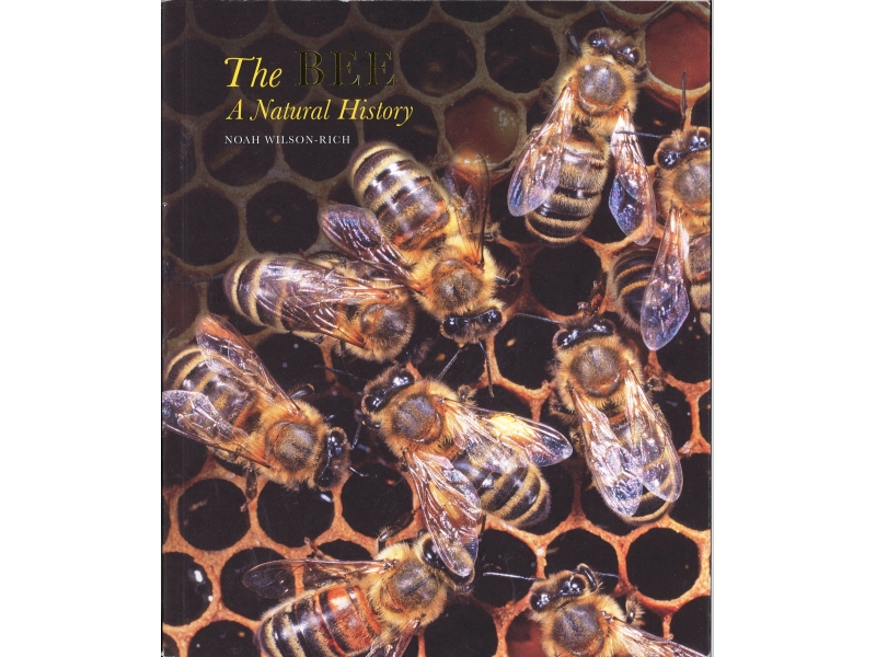 Noah Wilson-Rich - The Bee A Natural History