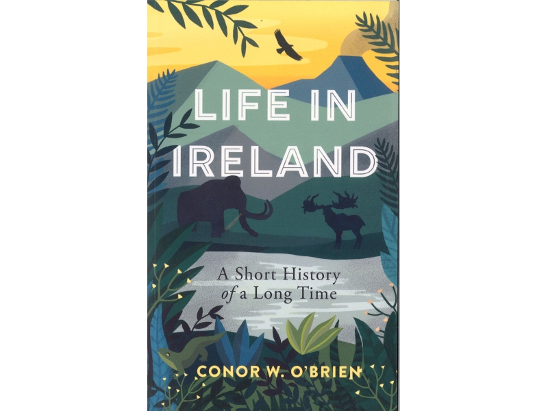 Conor W. O'Brien - Life In Ireland