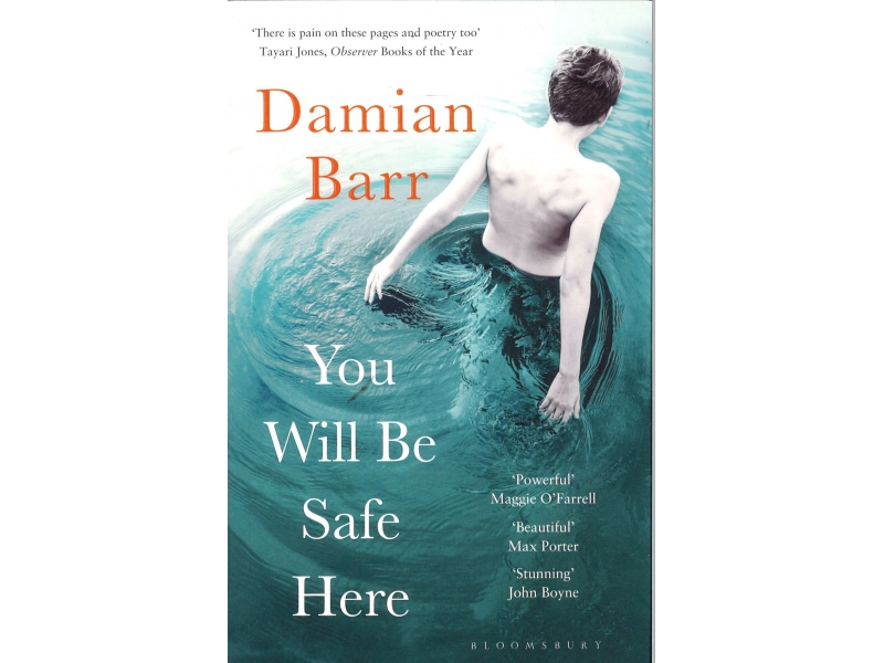 Damian Barr - You Will Be Safe Here