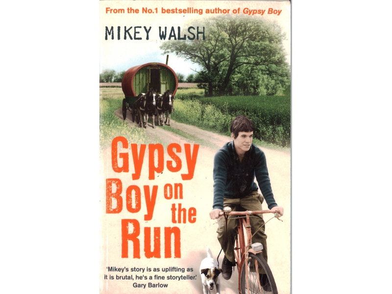 Mikey Walsh - Gypsy Boy On The Run