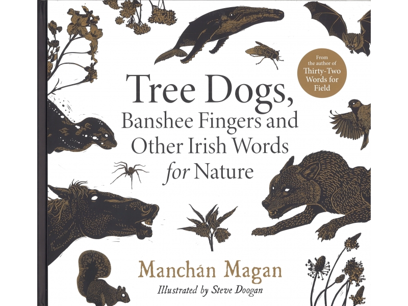 Manchan Magan - Tree Dogs