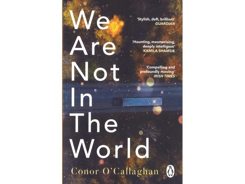 We Are Not In The World - Conor O'Callaghan