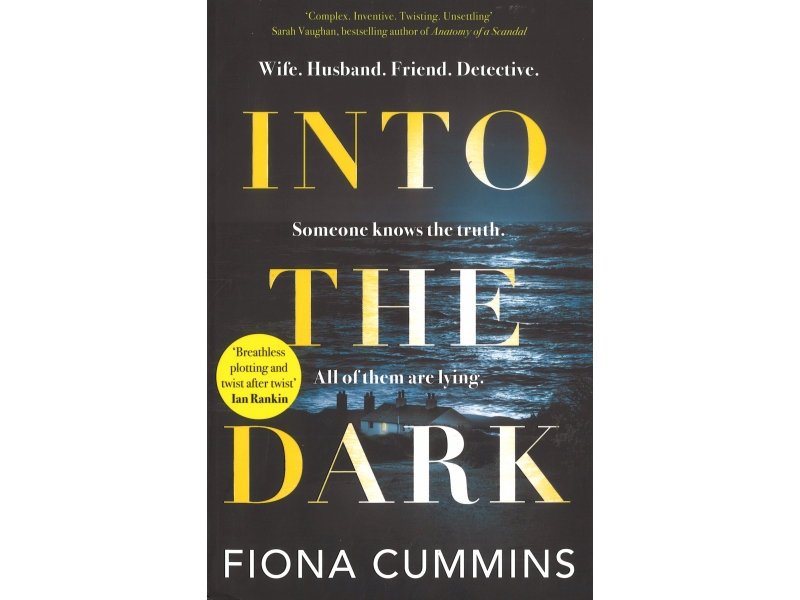 Into The Dark - Fiona Cummins