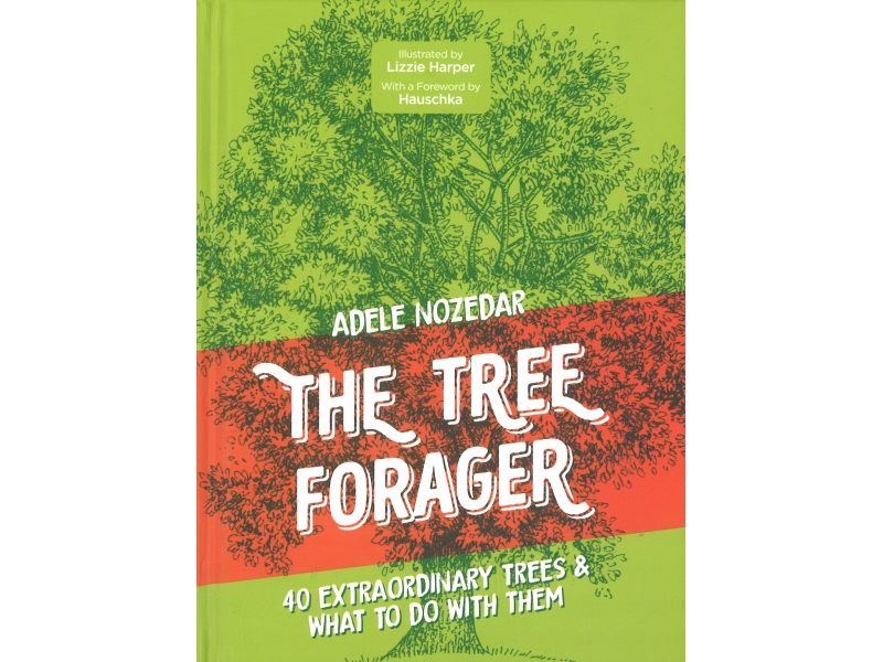 The Tree Forager - Adele Nosedar