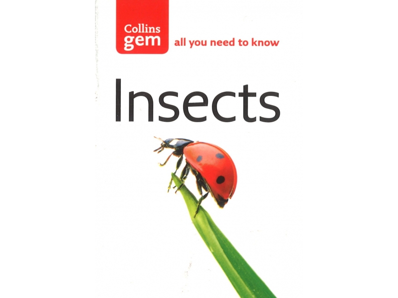 All You Need To Know - Insects