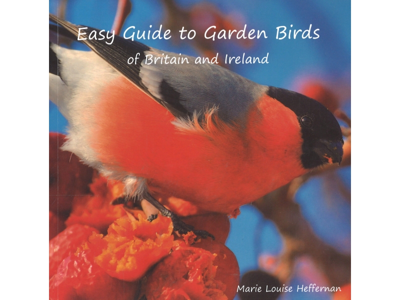 Easy Guide To Garden Birds