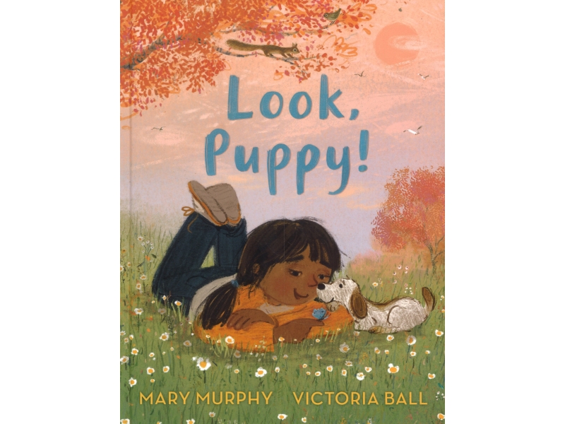 Look, Puppy - Mary Murphy