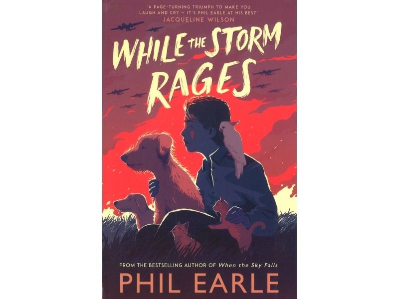 While The Storm Rages - Phil Earle