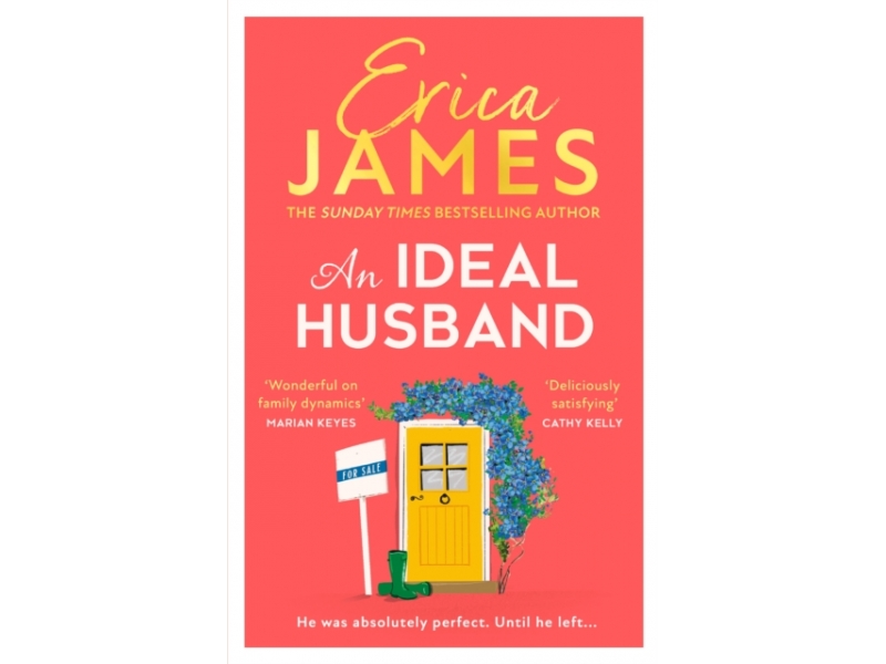 An Ideal Husband - Erica James