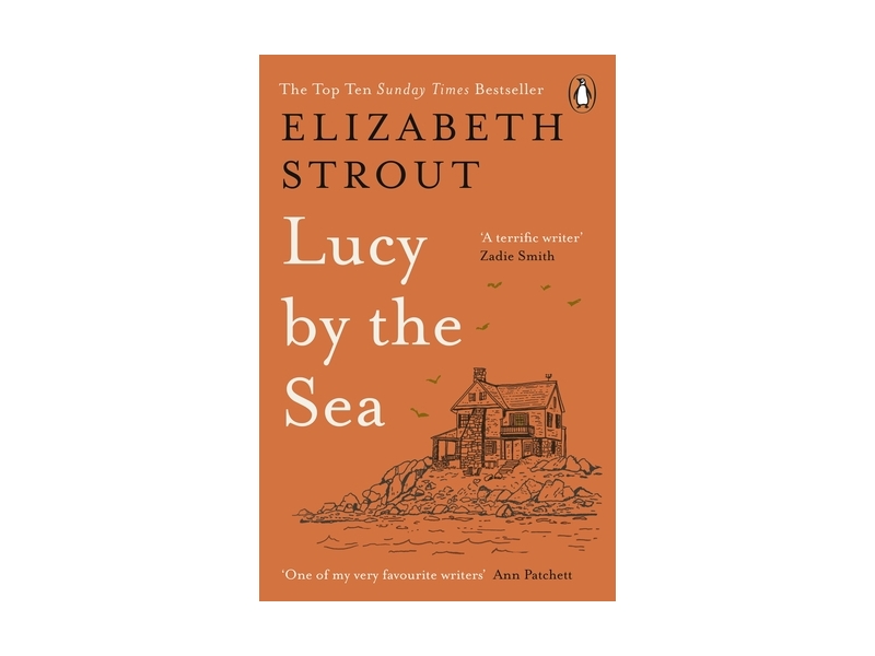 Lucy by The Sea - Elizabeth Strout