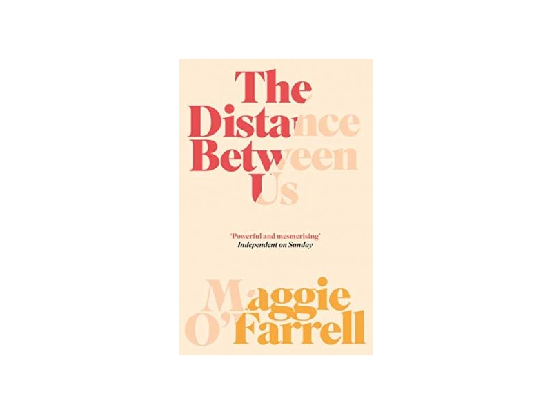 The Distance Between Us - Maggie O'Farrell
