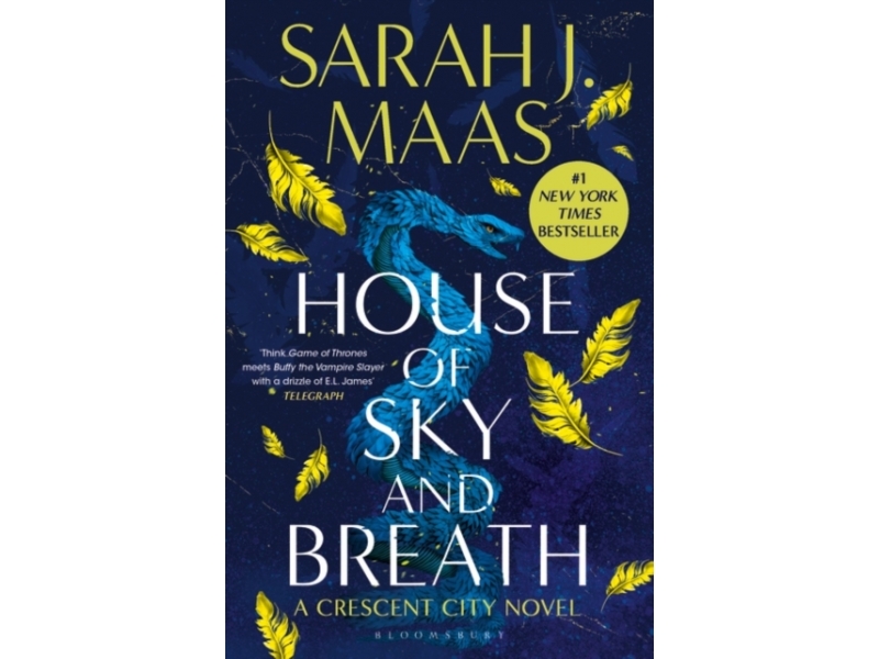 House Of Sky And Breath - Sarah J. Maas