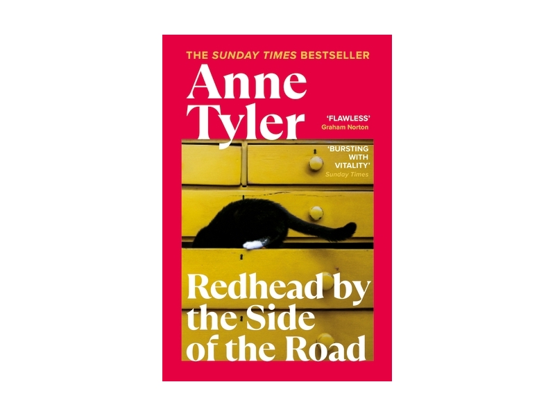 Redhead By the Side of the Road - Anne Tyler