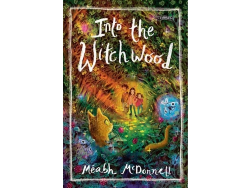 Into the Witchwood - Méabh McDonnell