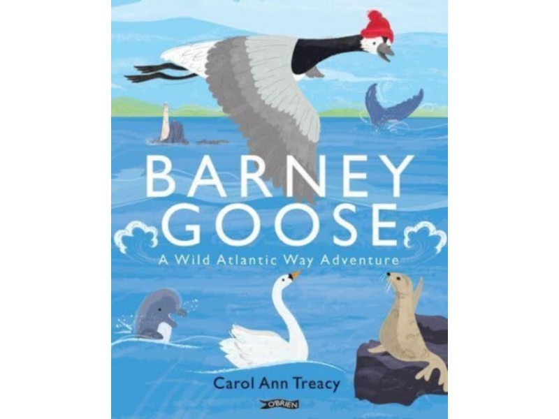 Barney Goose - Carol Ann Treacy