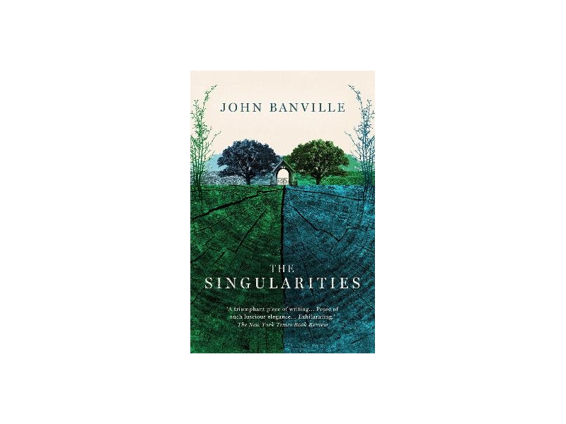 The Singularities - John Banville