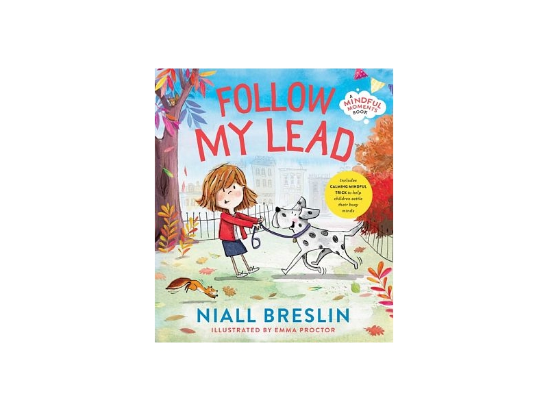 Follow My Lead - Niall Breslin