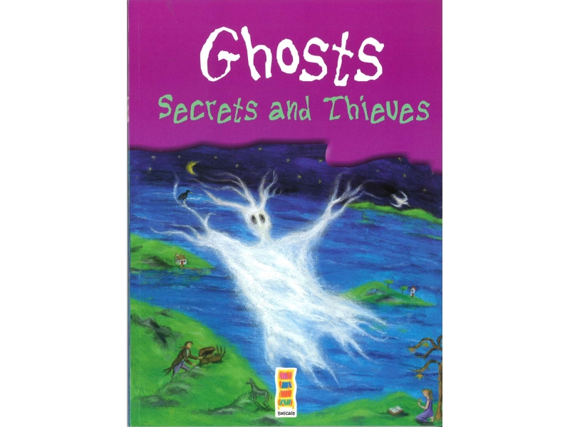 Ghosts, Secrets & Thieves Textbook - 6th Class Anthology - Bookcase