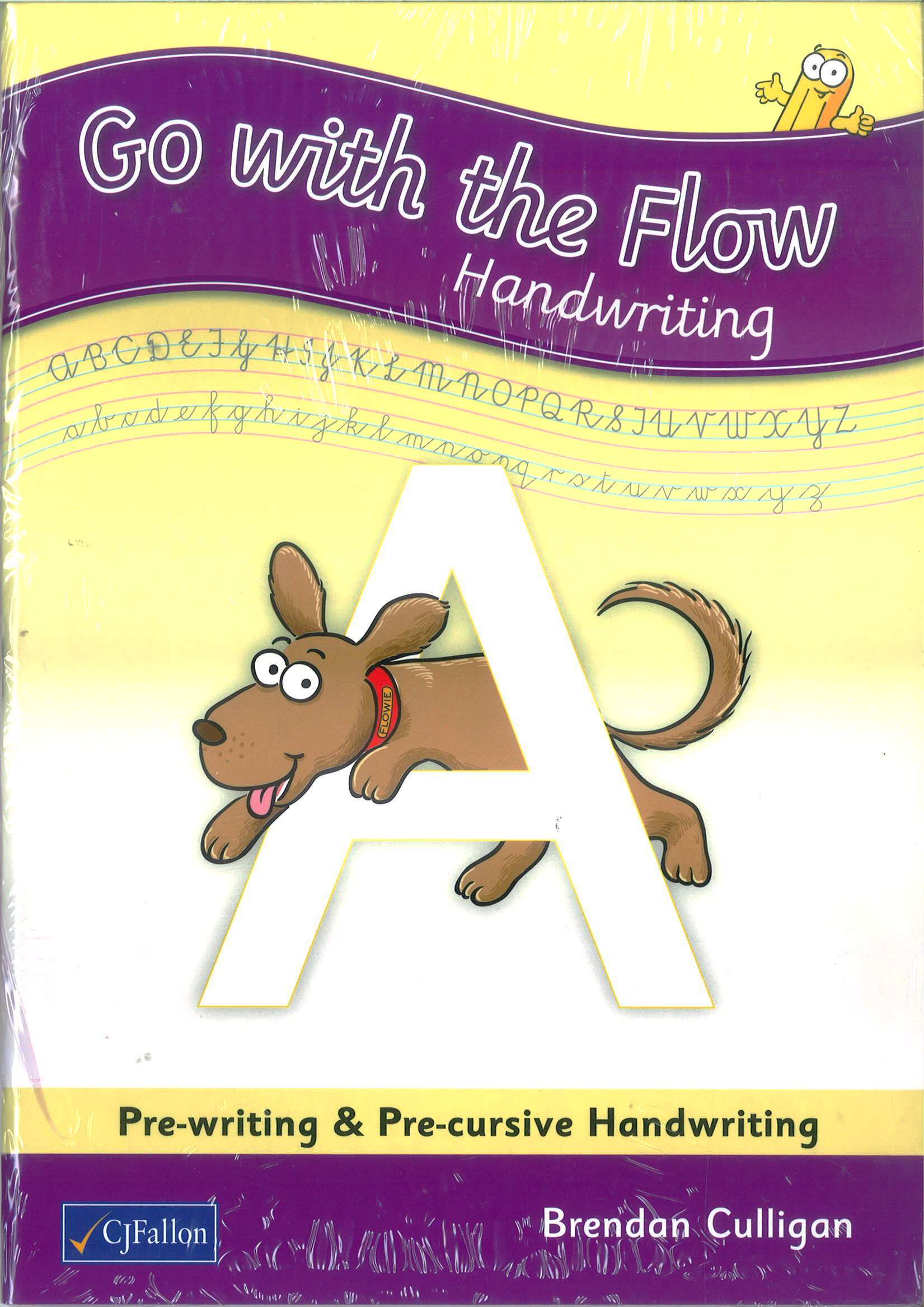 Go With The Flow A Pack Pupil Book And Homeschool Links Book Pre